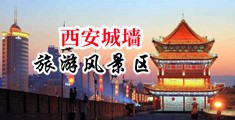 搜索中国免费操逼电影中国陕西-西安城墙旅游风景区